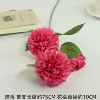 Vague fragrance