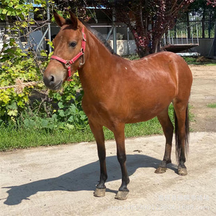 �����R��B���� ���_�R�ǰ��R��һ�N ʲô�ط��а��_�R�u