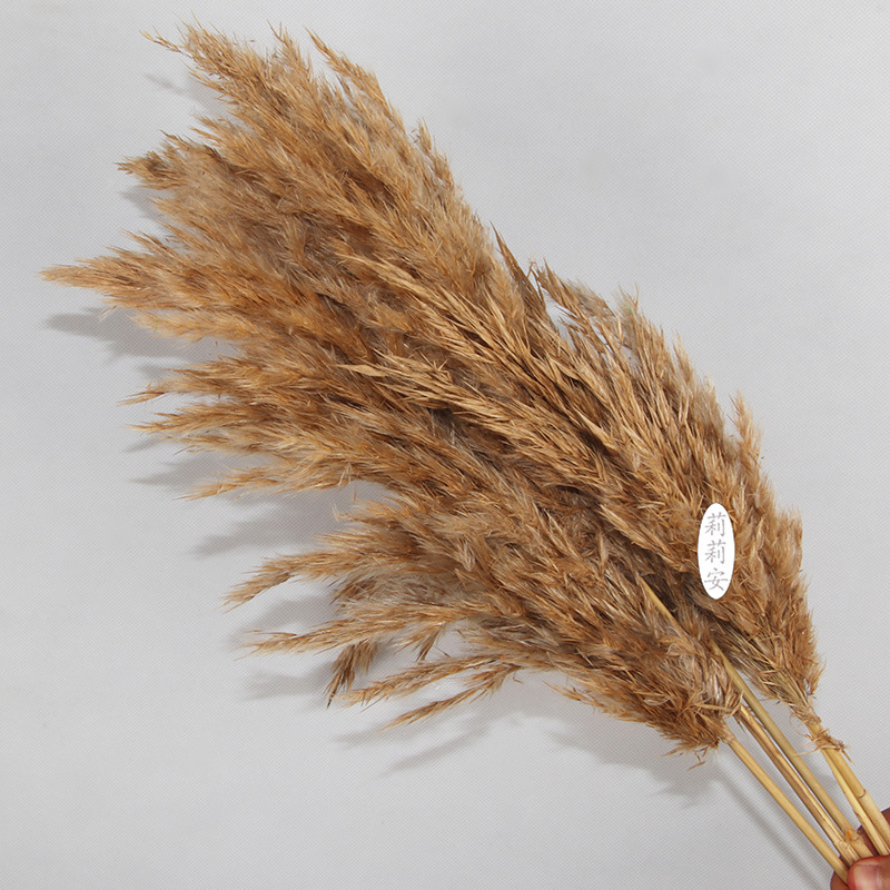 커피색(5개/묶음)