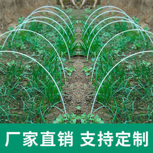 �N����ܹ�����߲���֧�ܱ�����������繰�ζ��ⲣ���w�S���˵�