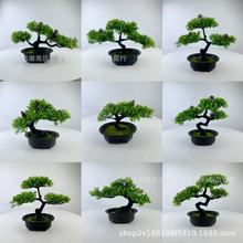 ����ӭ�����辰ֲ�����ԼҾ����P�[�����ɹ����F�ɾGֲ�羳���滨