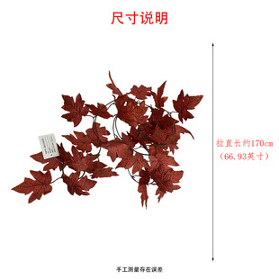 ����t���~�ٗl �Ӽ��b����� �＾�쾰 �f�}���ж������ü�