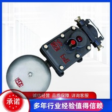 �V�ø�����M����BAL1-36/127G��36V/127V220V�����M����