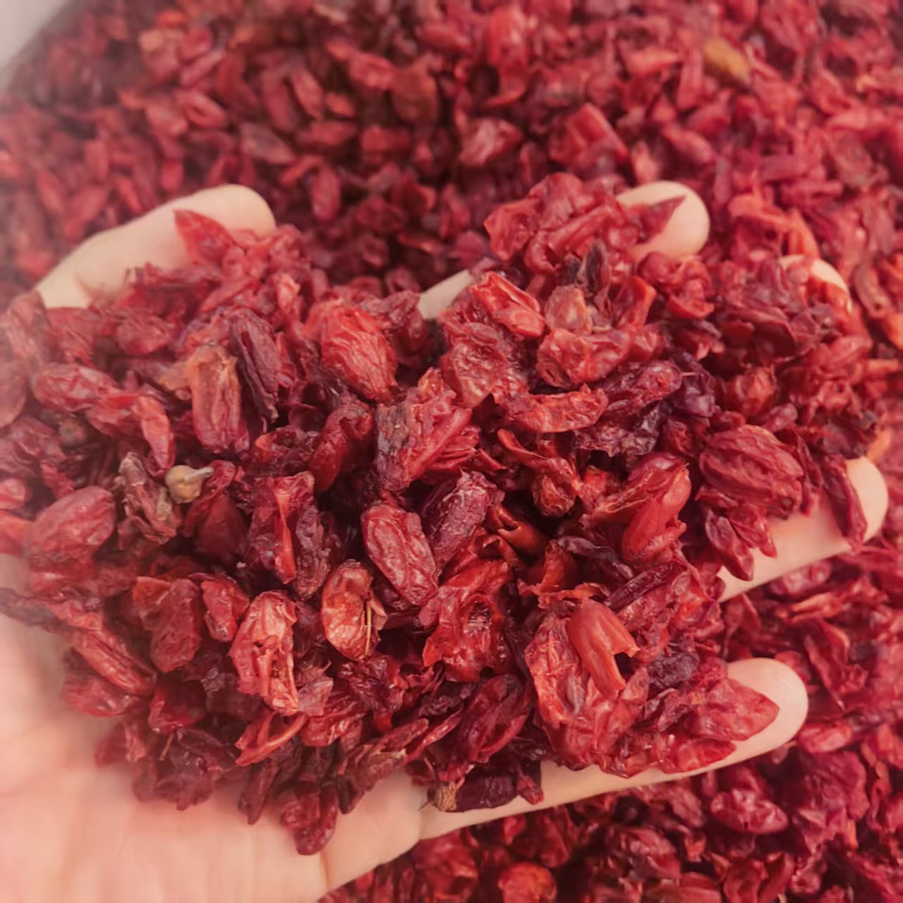 Cornus Fruit Shan Zhu Yu 山茱萸 Dried Herb 500g Traditional TCM Decoction Herb key features