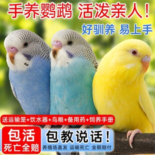 �W�^���B��Ƥ�W�^�B�С�B���W�fԒ���B���B����С���W�^һ��һĸ