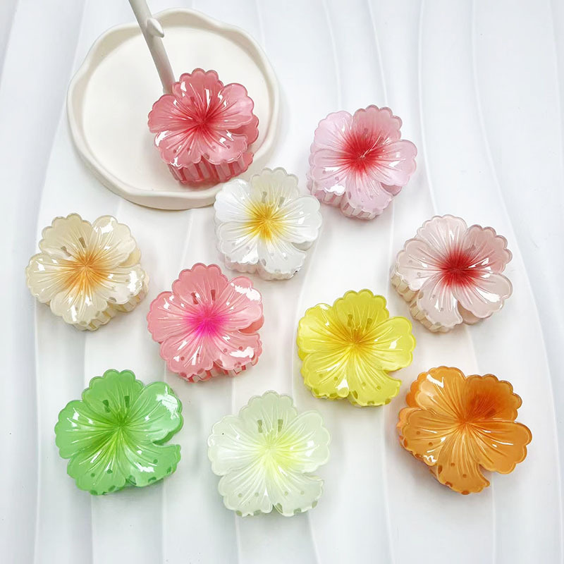 38g Weight Hair Clip, Hair Claws Hair Accessories Type 1 Piece Quantity Daily Occasion Resin Material Fish, Shark, Plumeria Pattern All Seasons Season Women's Gender Vacation, Sweet Style Vacation Sweet Women's Fish Shark Plumeria Resin Hair Clip Hair Claws 3
