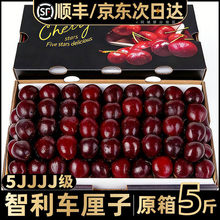 �����M��܇�������r���]5��ˮ���Y�Ю�������10�ЋD�����4j5j3j