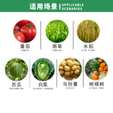 Zhongbao Abutine Амино -амино -активированный белок биологический пестицид томат табак табачный перец вирус перца 15 г