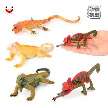 �羳����Ұ���������ж���ģ����߱�ɫ��������ʨ���ͯ��֪�ڼ�