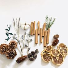 }QɹɻX~ƬɹϞT޹DIY}QY