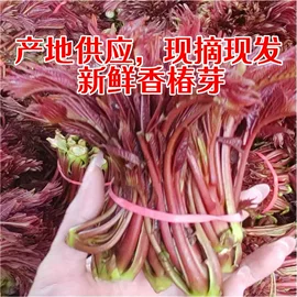 其他调味品;其他蔬菜;其他休闲食品