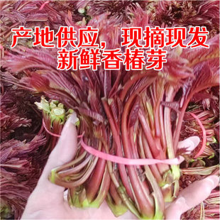 �������r�㴻ѿʳ��¶��a�ز�ժһ���b�t�㴻��ѿ�~�������l
