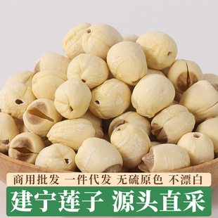 2026�긣������ɏ�Ӹ�؛500g�خa�ֹ�ȥоͨо��ɏ�o��Ѭ��Ŵ����