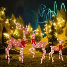 足球训练用具;其他健身器材;体质测试仪器