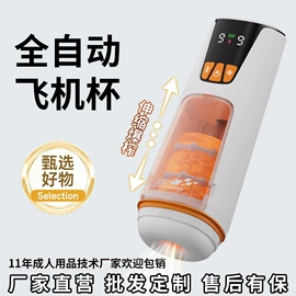 震动棒;情趣跳蛋;飞机杯