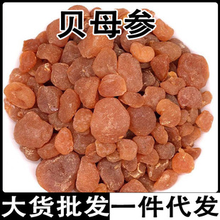 ��ؐĸ �ؿ�đ ؐĸ�� �S��ؐĸ ����ؐĸ ��ؐĸ���l���l