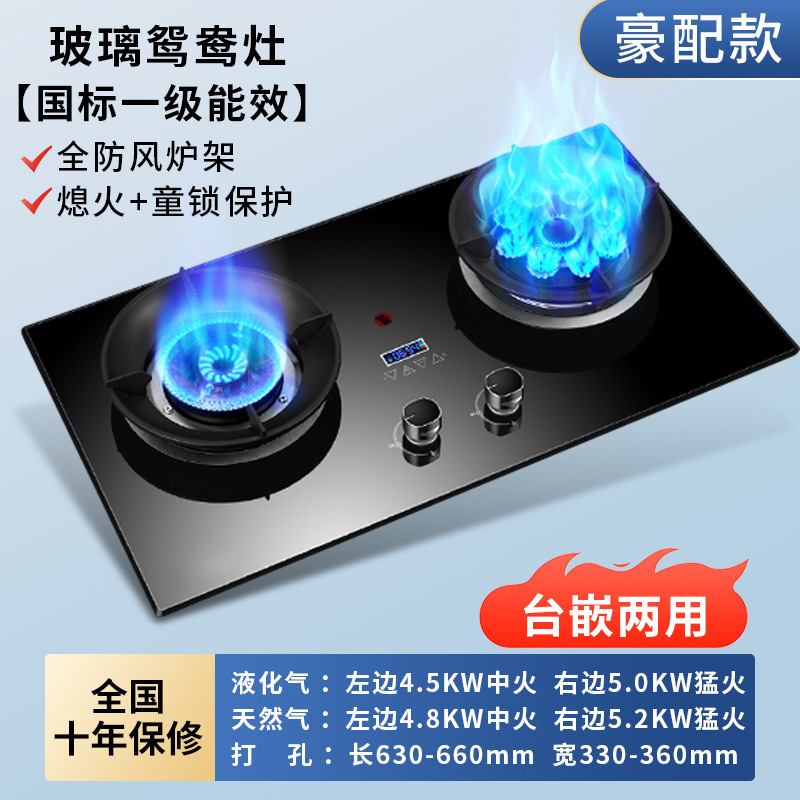 Taitai ガスストーブ ダブルストーブ 家庭用天然ガスストーブ 埋め込み式液化ガスストーブ ガスストーブ 強火ストーブ|undefined