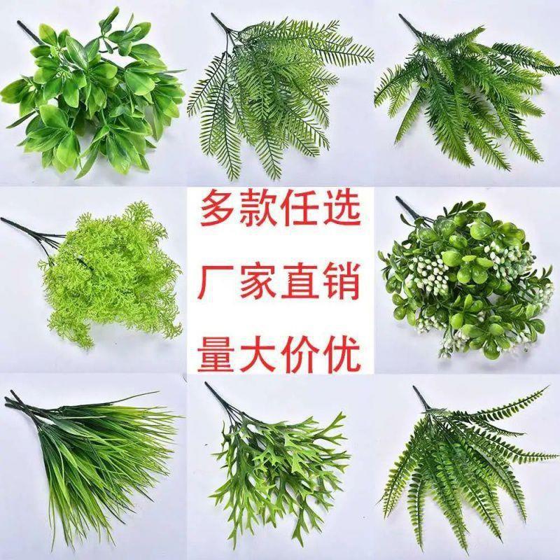 zbds植物婚庆背景墙墙配材插花艺绿植塑料水草盆栽插花配材