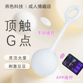 震动棒;仿真阳具;其他情趣用品