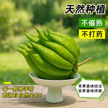 ��ˮ����֡��ǽ��A�������r�o֦���ֹ����̷ָ��ֹ��㙴����幩