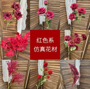 �tɫϵ��Y���÷��滨�Ƶ��Y��·���b�õ�彑��ٻ��S�����l