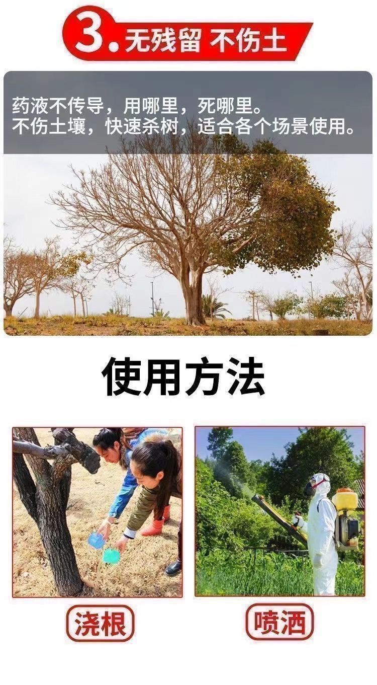 8b6658d5-3ff9-4653-9925-1f504548df36.jpe