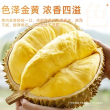 ����̩��������ɏ���r��S���]��ɏ�r��һ���������䑪��ˮ���ؼ�