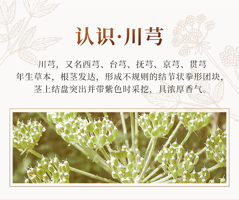 川芎中药材250克野生味浓川弓片川穹茶粉散装四物汤原料泡水XZ-阿里巴巴
