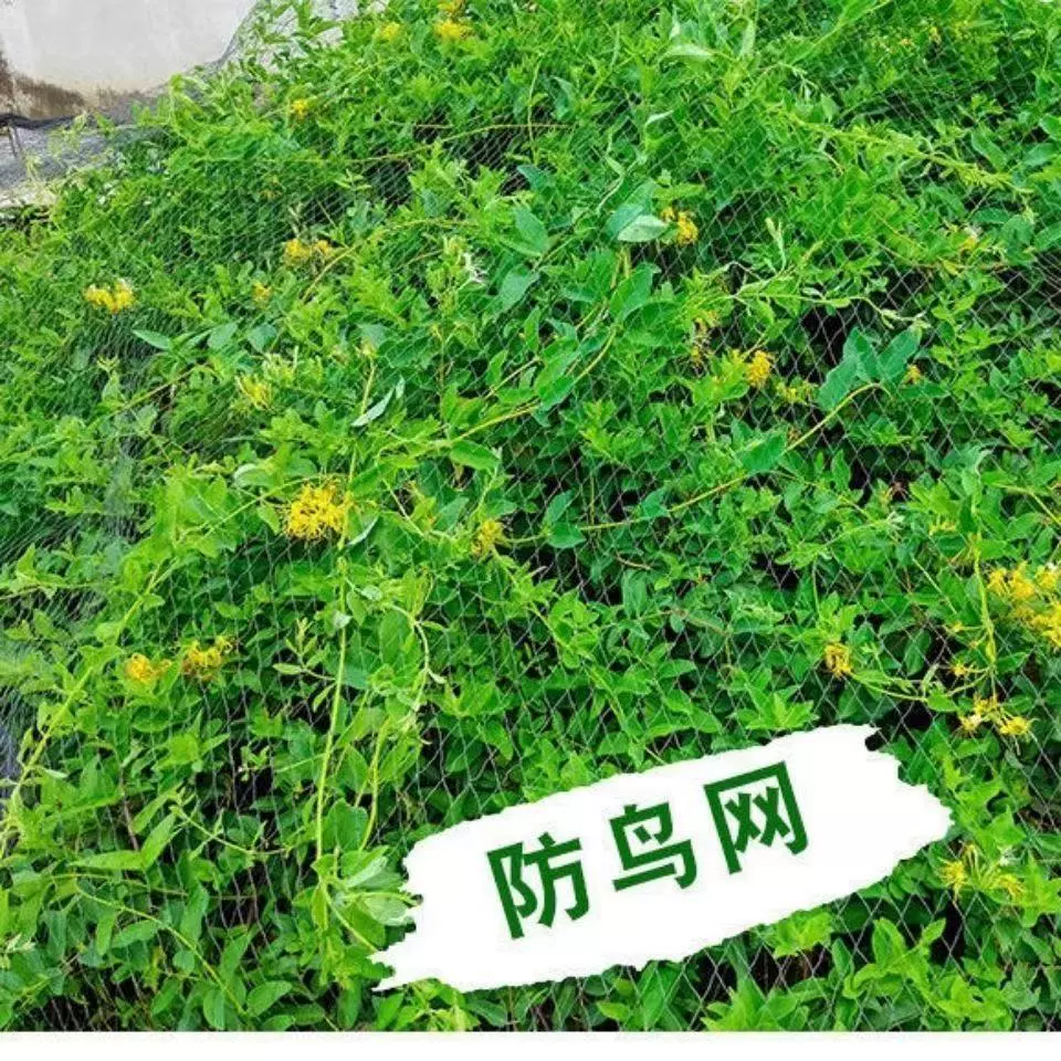 Orchard Bold White Защитная сетка Нейлоновая сетка Многофункциональная нейлоновая сетка Защитная сетка аэропорта Профилактика сельскохозяйственных птиц