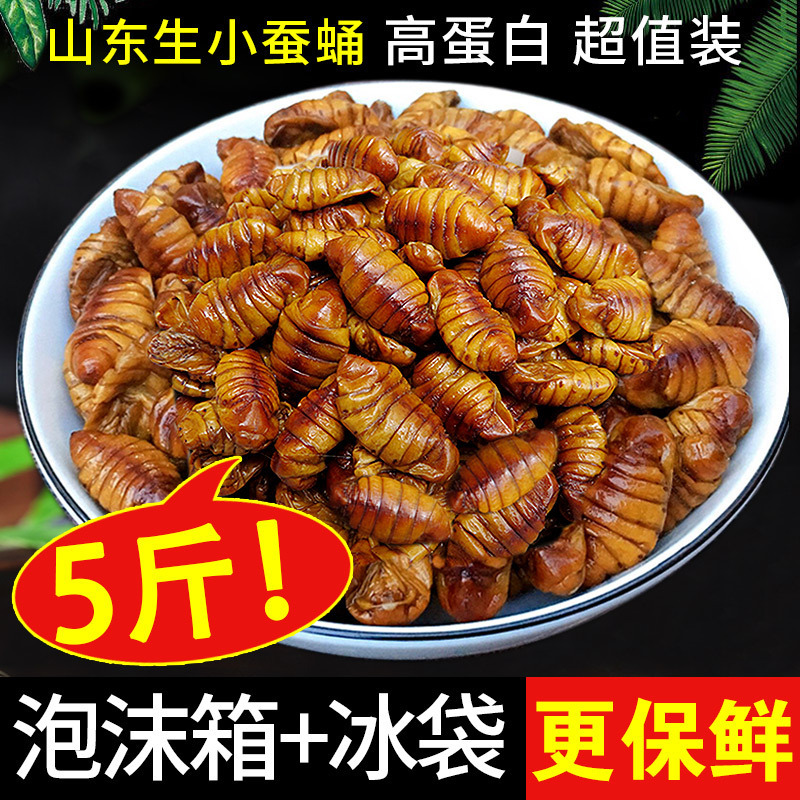 2.5kg 桑蚕蛹農場新鮮で清潔な桑蚕蛹生小さな蚕蛹繭蛹子山東省産蛹蝉冷凍送料無料|undefined
