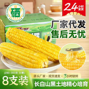 �|���������rŴ�������l����������հ��bһ�����l8֧�Ǽ�ʳ����