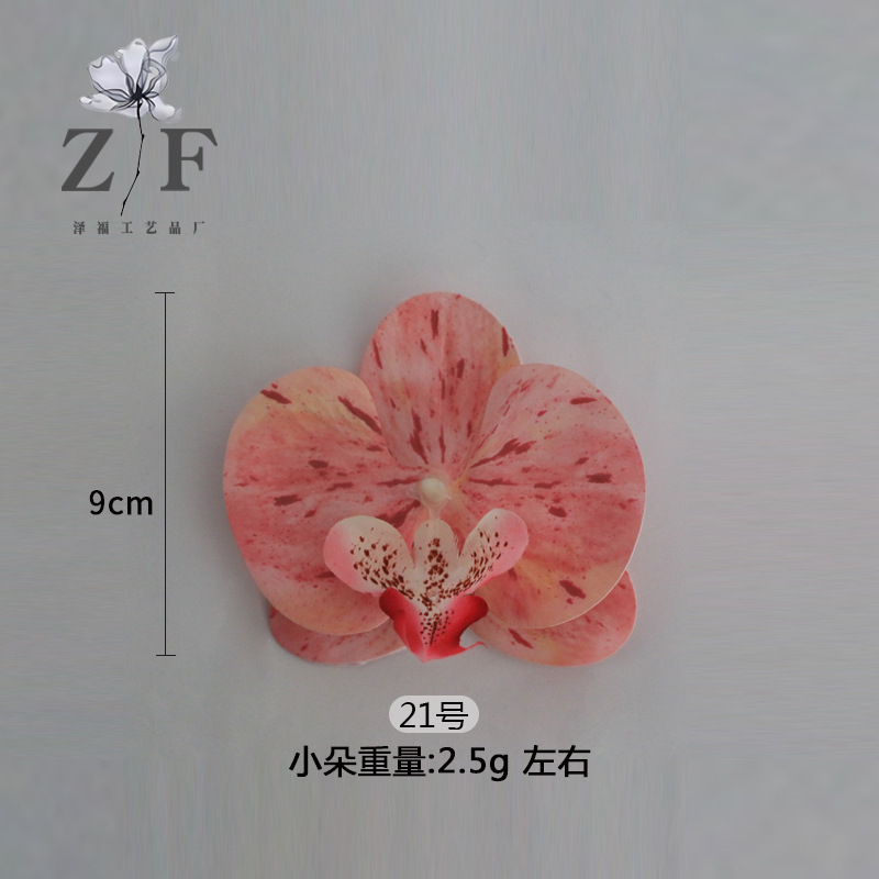 21호(소)
