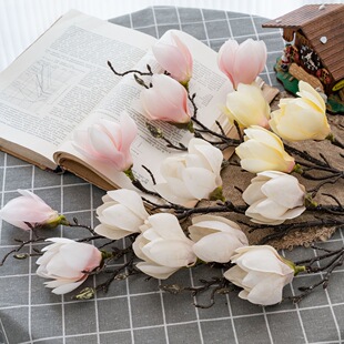 Flower-facing language single-branch Magnolia INS wind home decoration cross-border wedding wholesale fake flower simulation flower CL22002