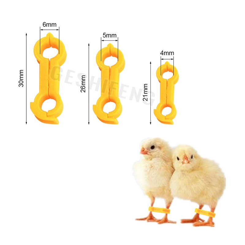 Корректор для ног птиц при вывернутых в стороны ногах, ортез для ног птиц, реабилитационное кольцо для ног птиц, оптовая продажа с завода