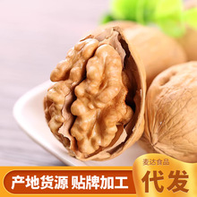 一件代发 现货纸皮核桃新疆核桃薄皮新货原味生核桃纸皮核桃新货