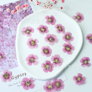 ľ�Ȼ��ɻ�����ֲ��˱��滨���z�֙C������Ѻ��̨���N���沿�b�