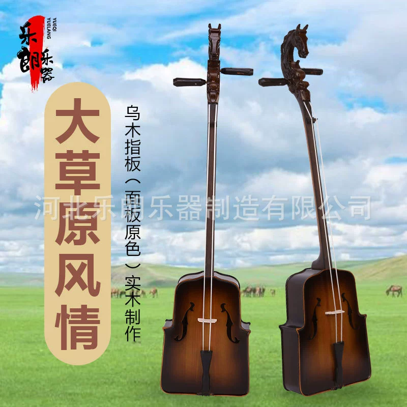 Musical instruments, professional practice with accessories, for beginners, full set