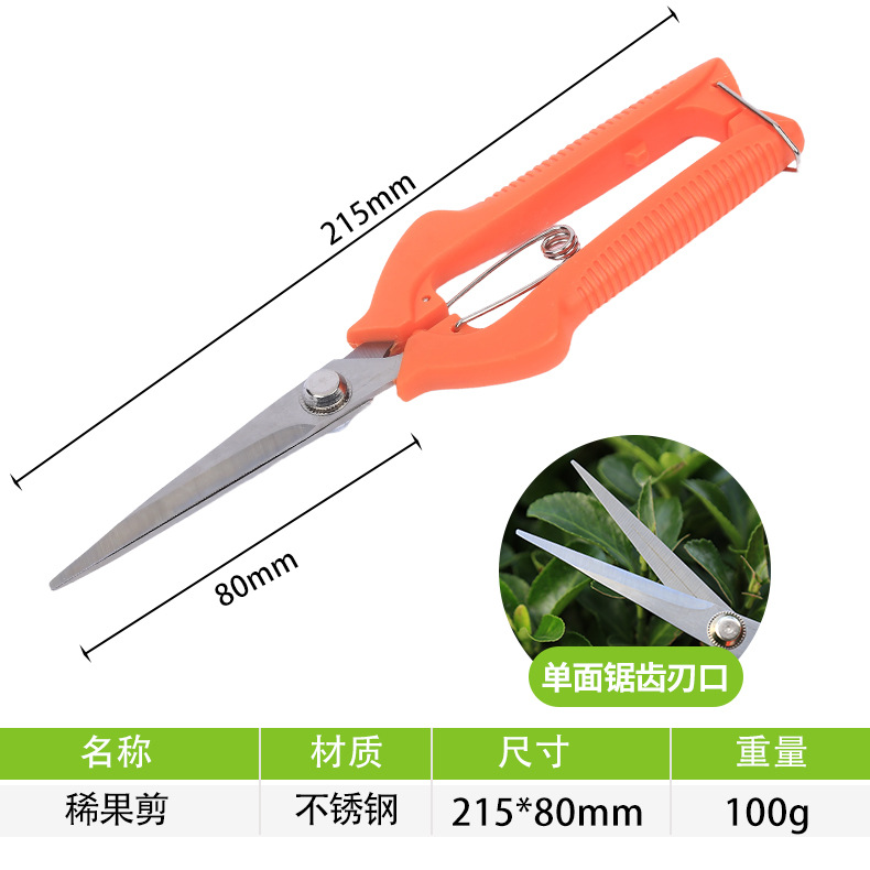 Fruit picking tijeras de acero inoxidable Fruit delgado Fruit picking ramas Fruit picking tijeras horticultura bonsai herramientas tijeras de verduras y frutas