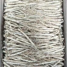 ���Ì��ݖ|���خa�ݾ��Ҝ������側����ˮ