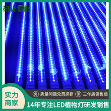 专业生产各类设备光源色选机LED日光灯管长度电压功率出光颜色等