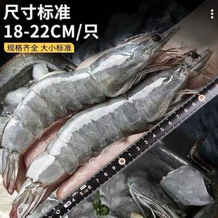 �}�����r���r��������r���u���r������r���r���r�����������l