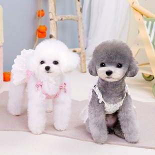 �黨߅С���µ�����ȹС��Ȯ�·� �ļ��p������ӗlȹ�����·�