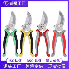 修枝剪;办公剪刀;厨用剪刀