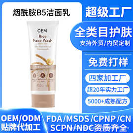 亚马逊跨境外贸工厂护肤加工烟酰胺洗面奶B5洁面乳贴牌定制OEM