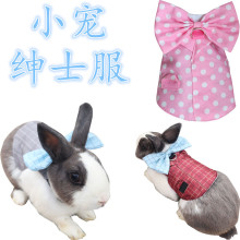 兔兔绅士礼绳兔绳子兔胸背兔子西服猫咪绳遛猫绳小狗狗礼服