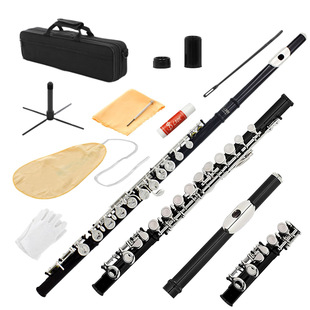 Cross-Border 16-Hole E Key C Tone Nickel-Plated Closed Hole Flute Western Musical Instrument Silver Flute Copper Flute Instrument Learning and Playing