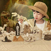 Dream Kai skeleton Mosaic Assemble classic Model Tyrannosaurus Rex skeleton dinosaur Fossil Archaeology Excavation Toys wholesale