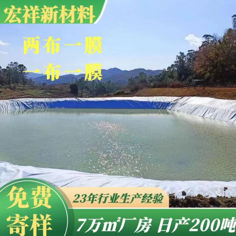 蓄水池防渗膜人工湖1000克长丝两布一膜复合膜大型水库复合土工膜