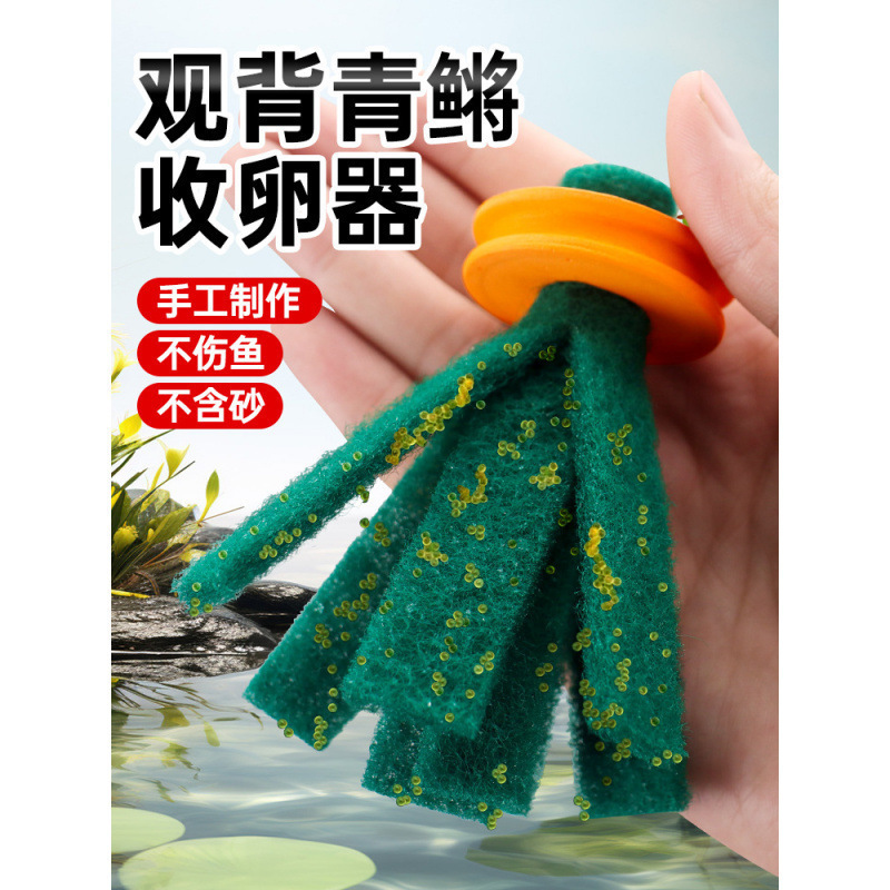 观背青鳉鱼卵收卵器漂浮挂卵神器专用鱼卵收集取卵器多颜色纯手工|undefined