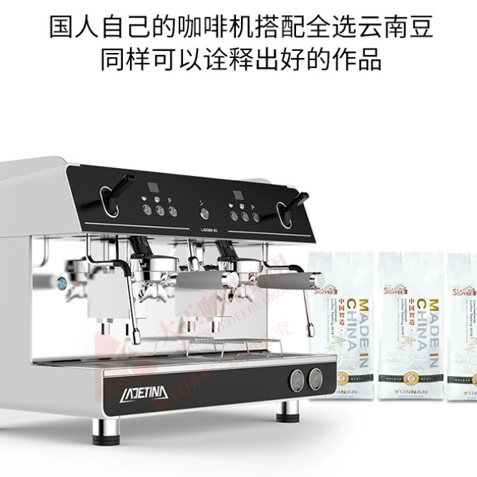 Ladetina Coffee Machine E61 Brewing Head, Ladettina Black Dual Head, Microcomputer Control for Other Commercial Use Ladetina Coffee Machine E61 Brewing Head, Ladettina Black Dual Head, Microcomputer Control for Other Commercial Use